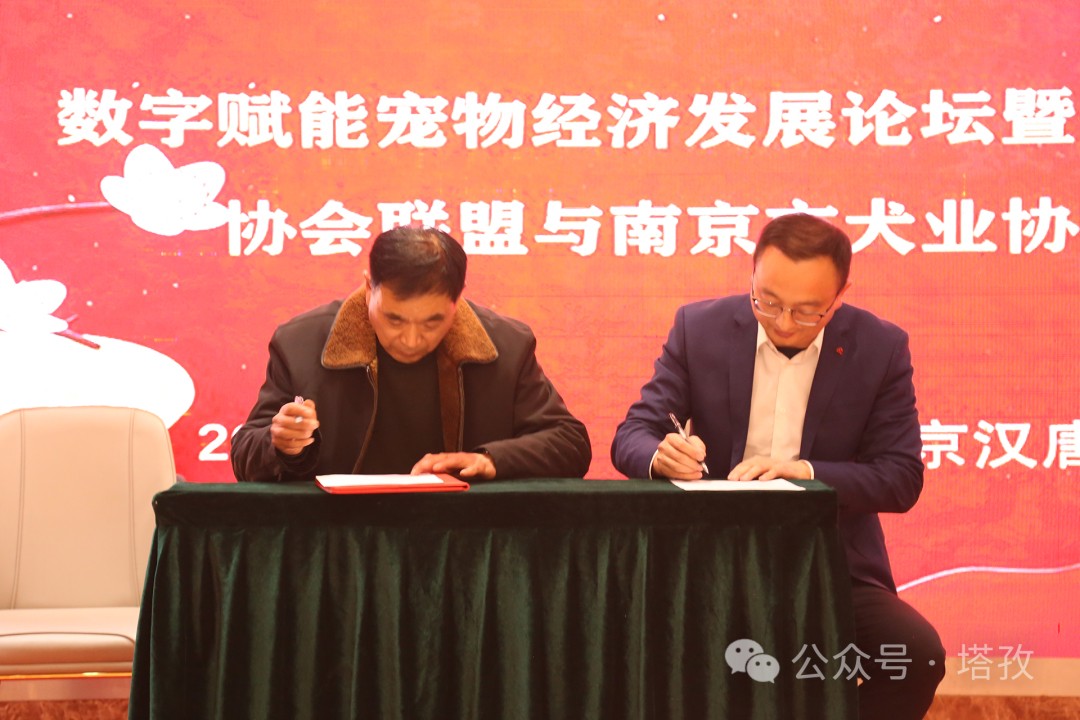 熱烈祝賀寵都App平臺(tái)與南京犬類協(xié)會(huì)達(dá)成戰(zhàn)略合作！