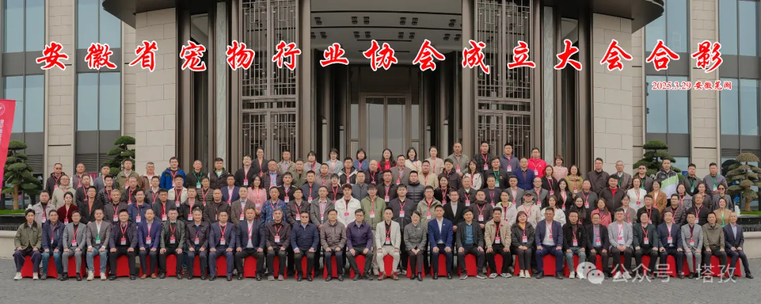 寵都平臺成為安徽省寵物行業(yè)協(xié)會理事單位，開啟寵物產(chǎn)業(yè)新征程